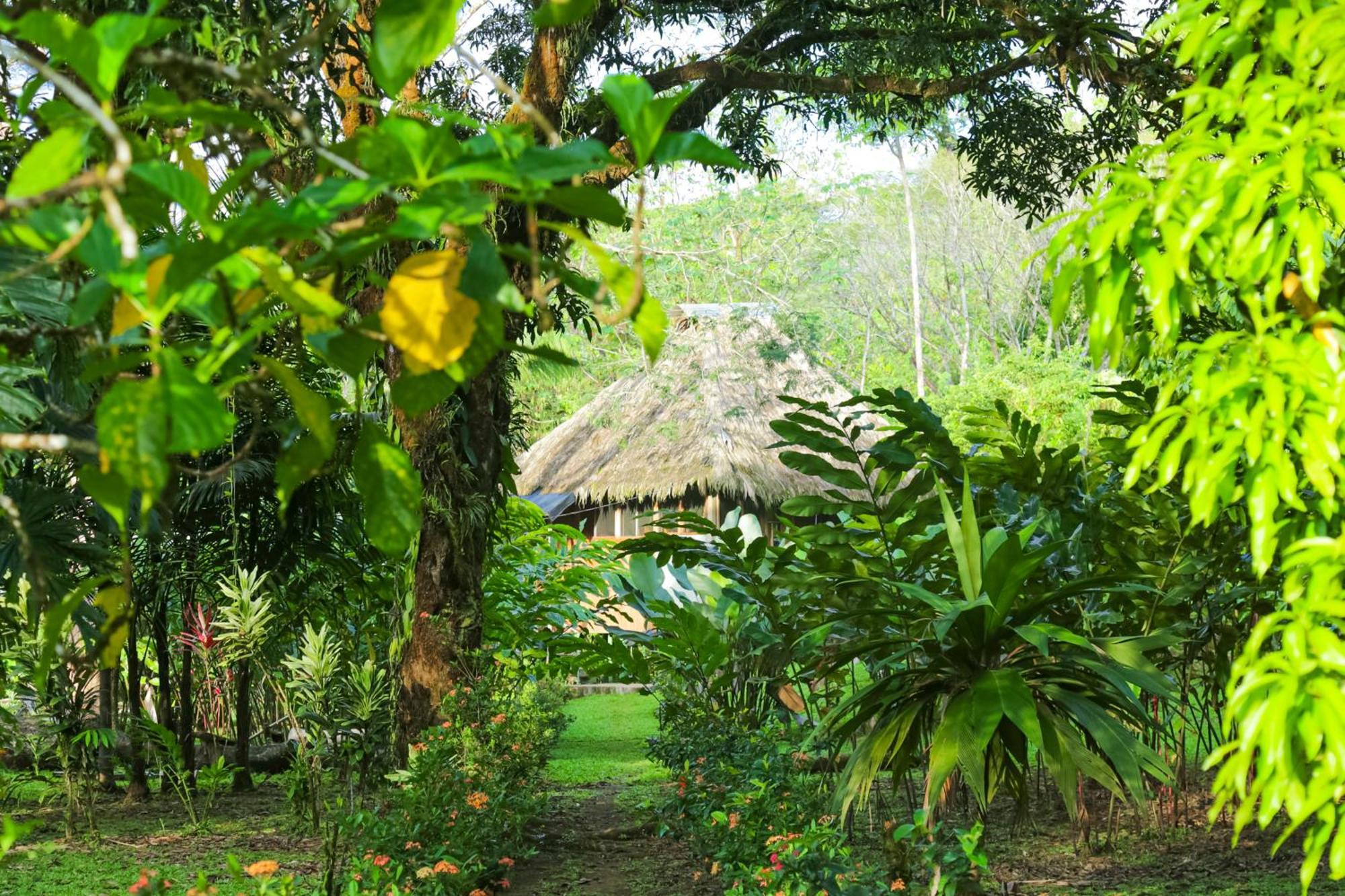 Lodge Casa Drake *
