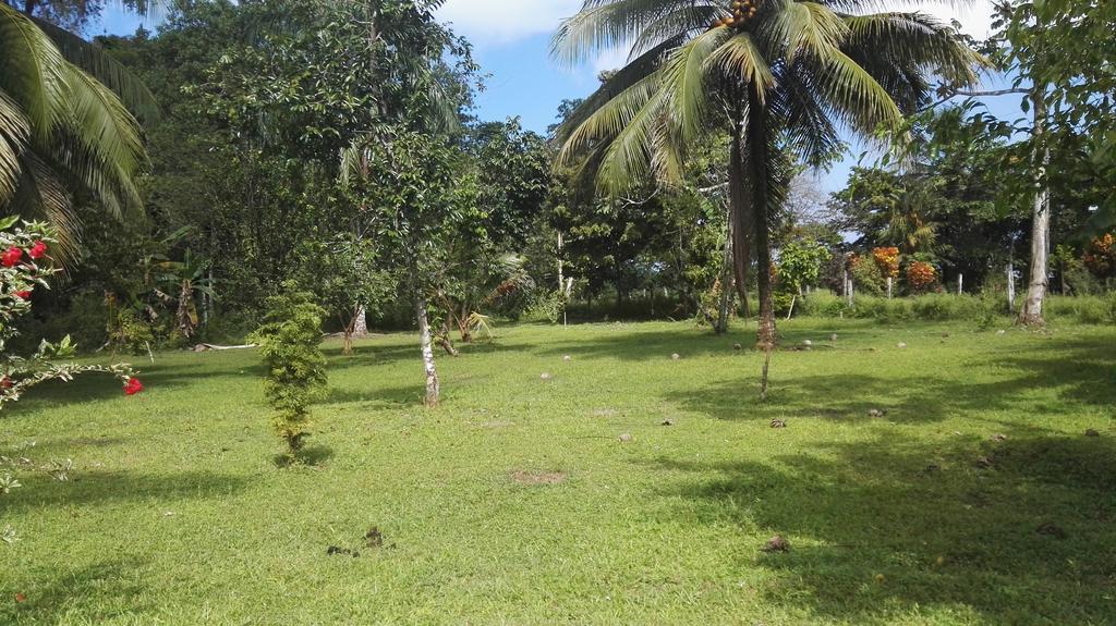Lodge Casa Drake *