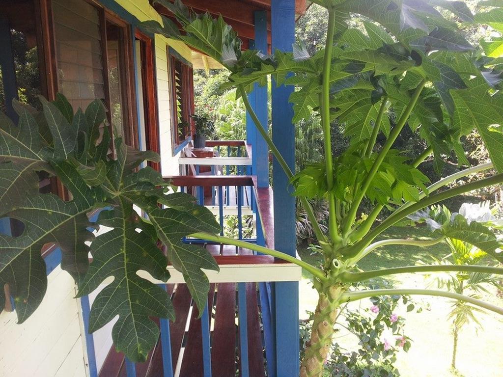 Casa Drake * Drake Bay
